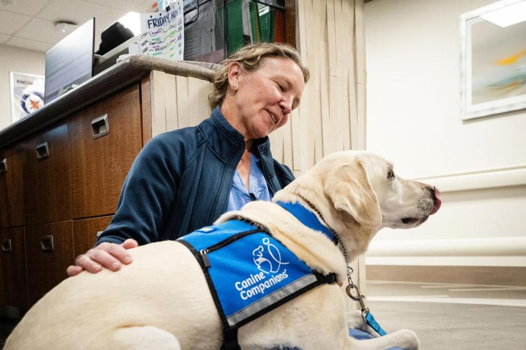 Dogs paired with providers at hospitals help ease staff and patient stress – Boston Herald/crypto news