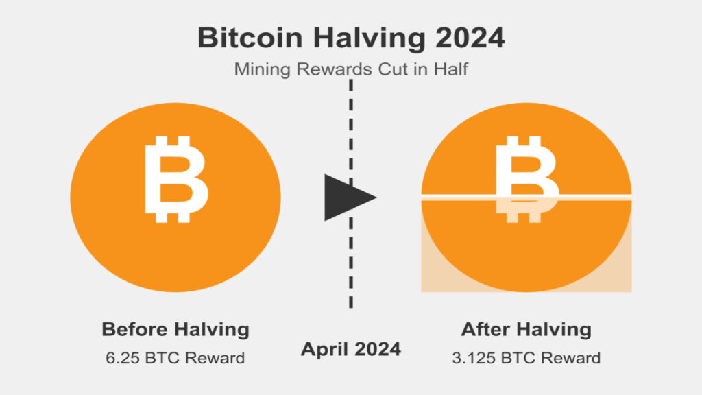 Bitcoin Halving in 2024